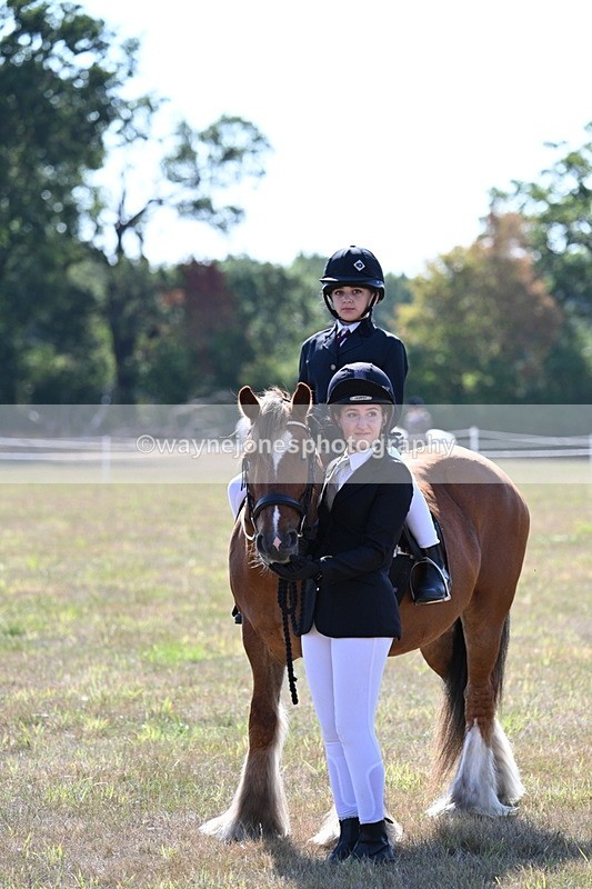 WJ7_3200 - Class 8 Ridden Tack & Turnout