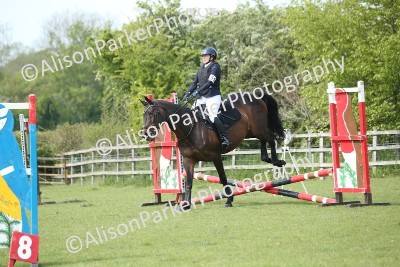20260426-1706 - Class 14 - Novice 60cm