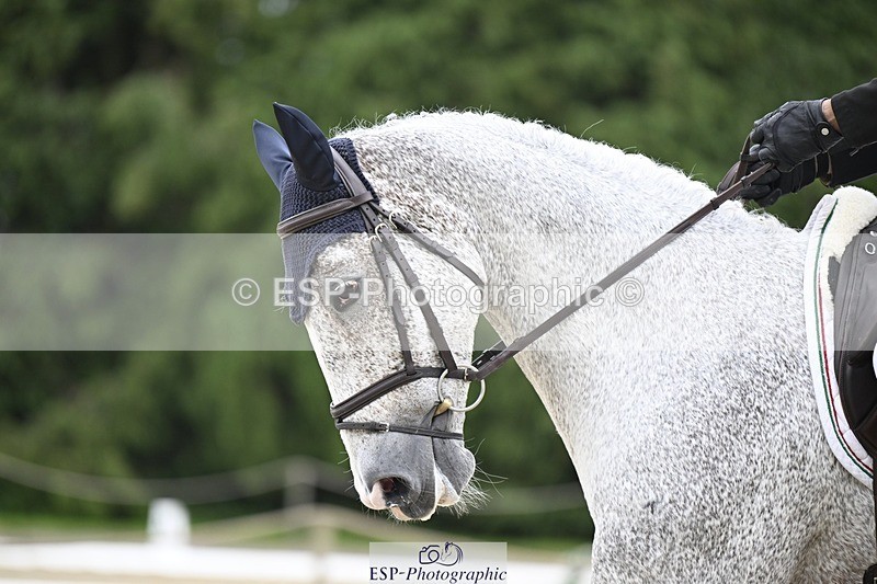 240523-171315-05668 - 451-CORNISH_REBEL-Alberto_Giugni