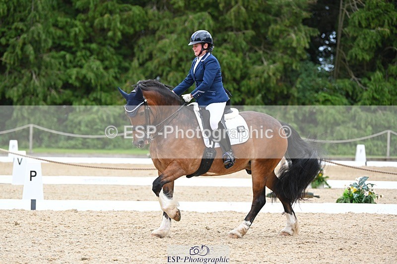 230813-142429-07754 - Cls 13 Medium Bronze 13.15 to End