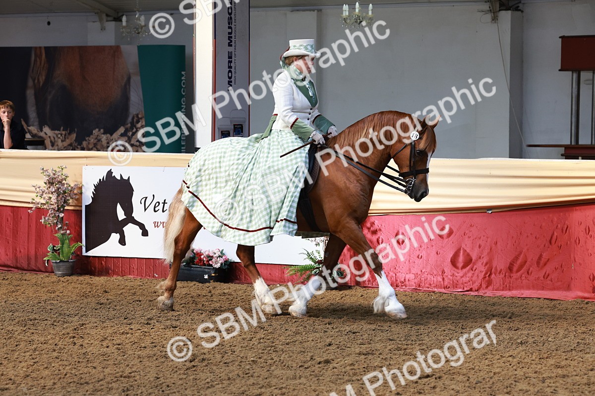 SBM_13708 - Class 106 - Ridden Costume -Astride Adult (15-19)