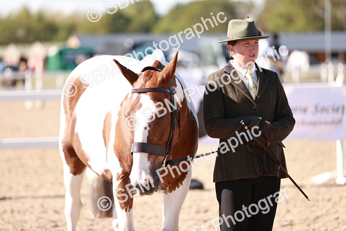 SBM_13240 - Class 405 - IH Show Cob