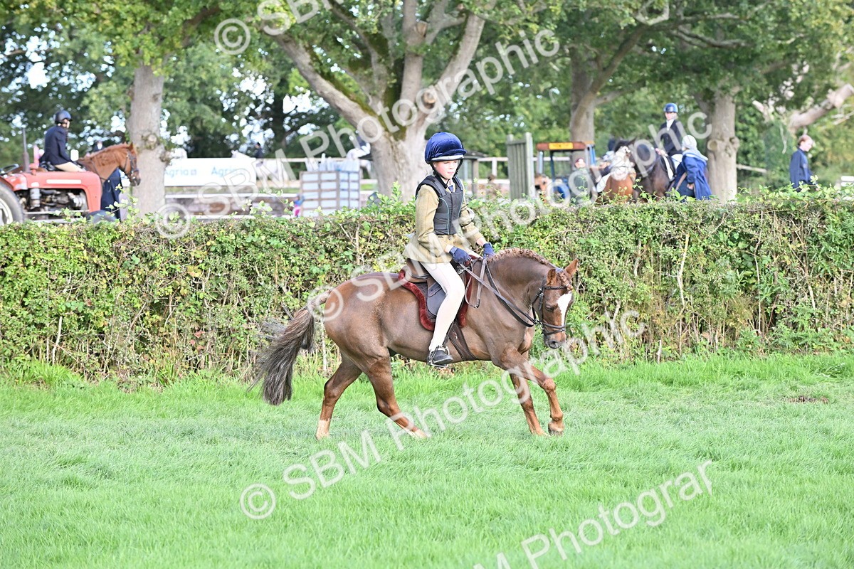 SBM_51239 - S22 - First Ridden show and show Hunter Pony