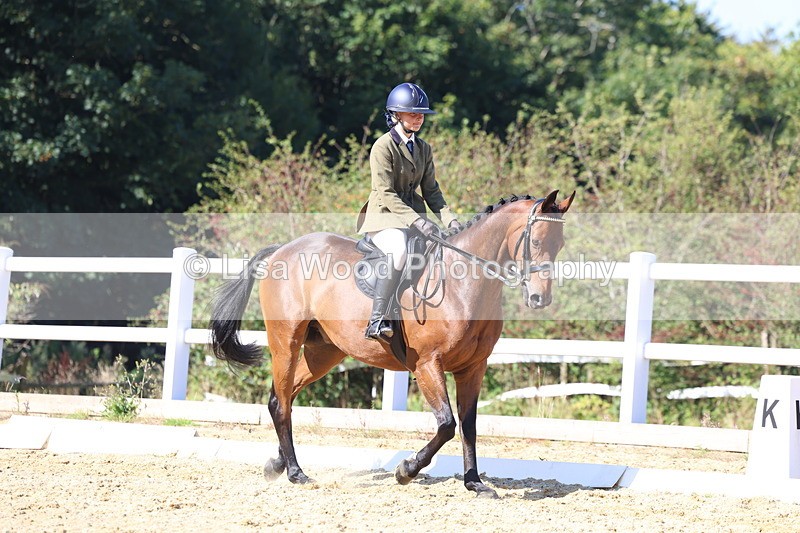 3E7A5676 - Class 10: Riding Horse