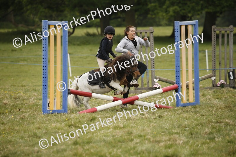20250517-0268 - Class 1 - 30cm On Lead Rein