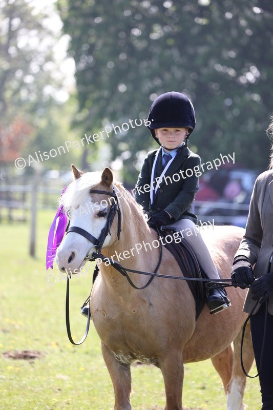 20250427-0214 - Class 30 - Tiny Tots Lead Rein