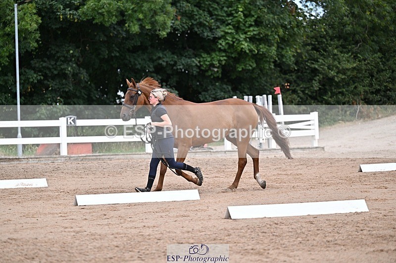 250716-131421-00405 - Trot Up 12.30 to 1.30