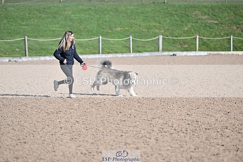 250301-132017-01519 - 90cm