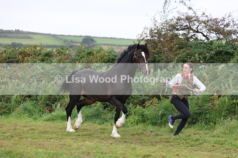 3E7A4113 - Class 15: Two Year Olds