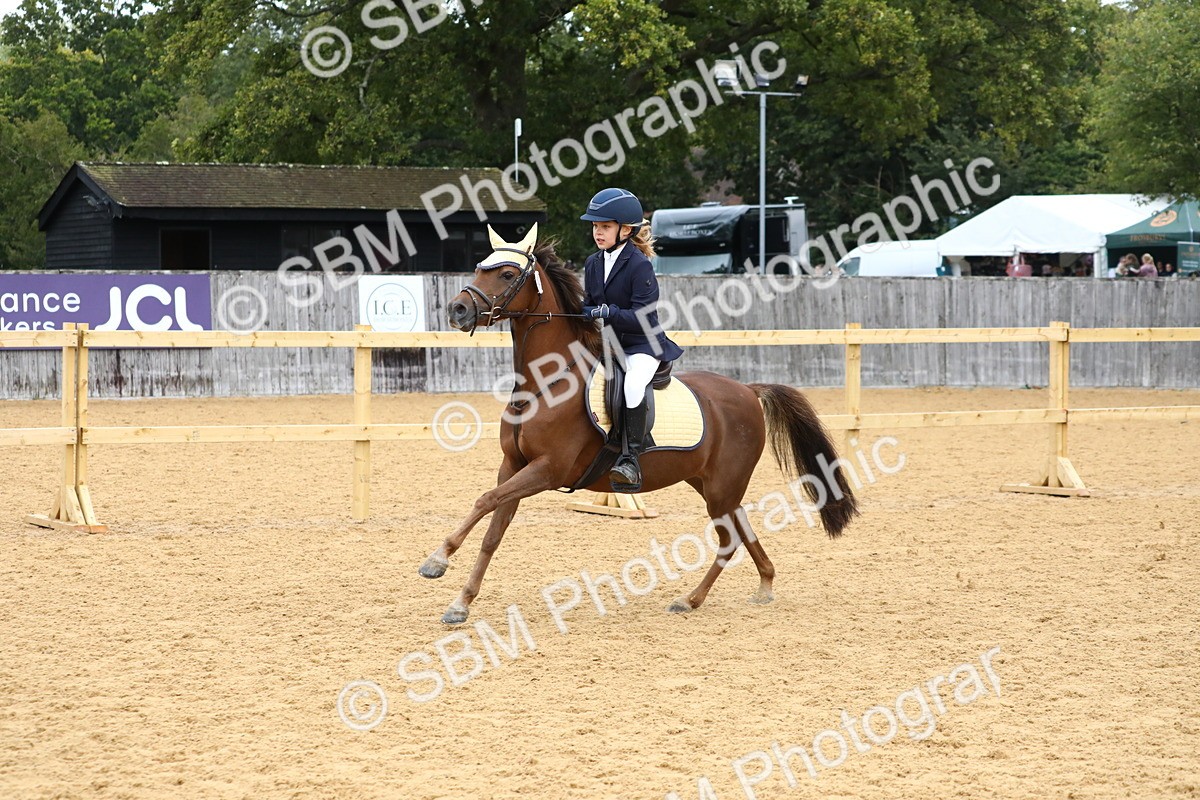 SBM_60136 - J63 - Junior Pony 50cm Championship