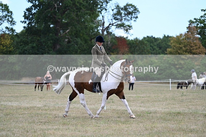 WJ7_5164 - Class 12 Ridden Cob