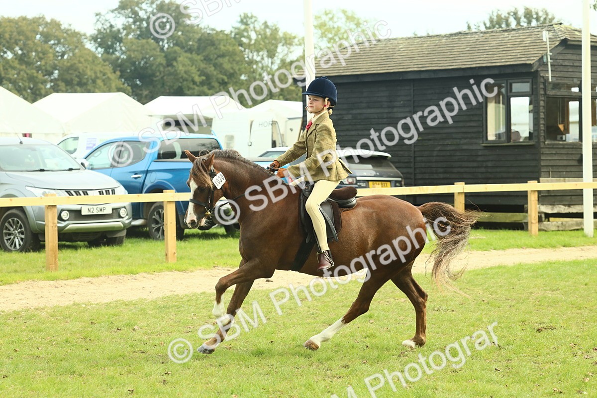 SBM_69885 - S59 - Mountain & Moorland Ridden Small Breeds