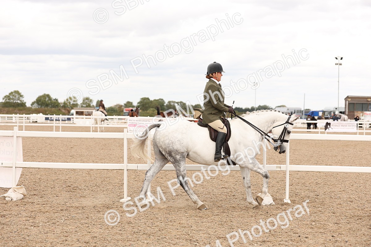 SBM_16482 - Class 212 - Ridden Hunter - Small