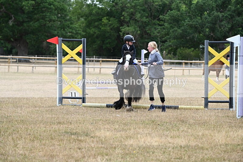 WJ6_9587 - Class 12 Minimus Jumping 45cm