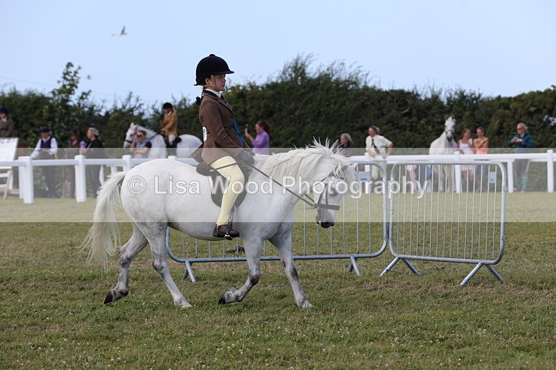1X9A5468 - Class 37: NPS M&M First Ridden