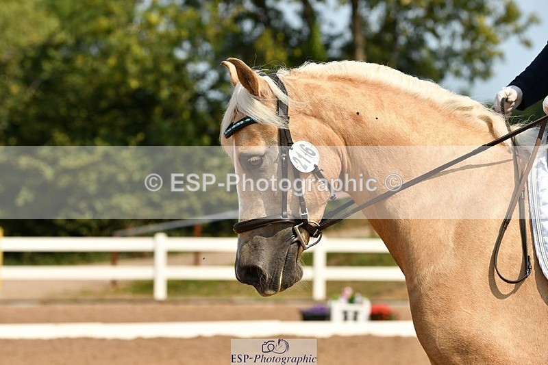 250817-112648-08583 - 216-Chloe.WaltonHaytors.Lord.of.the.Dance