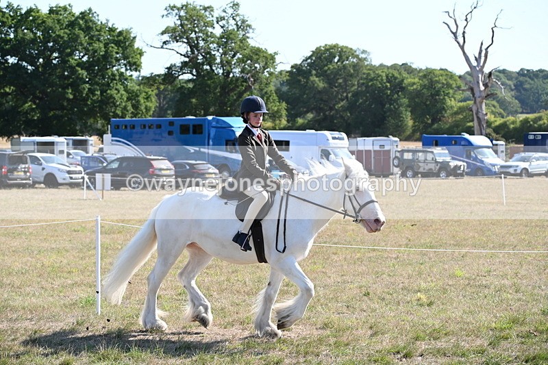 WJ6_7476 - Class 34 Judges Choice