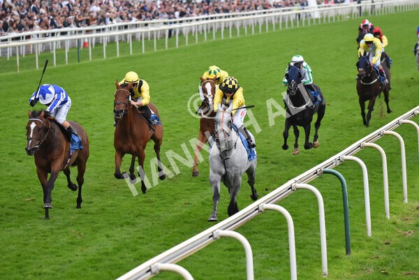 yr09102021r6-16 - Race 6 4.25pm Coral Best Odds Guaranteed Handicap