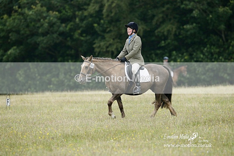 BVRC 030721 523 - Bourne Valley Riding Club Dressage 03/07/21