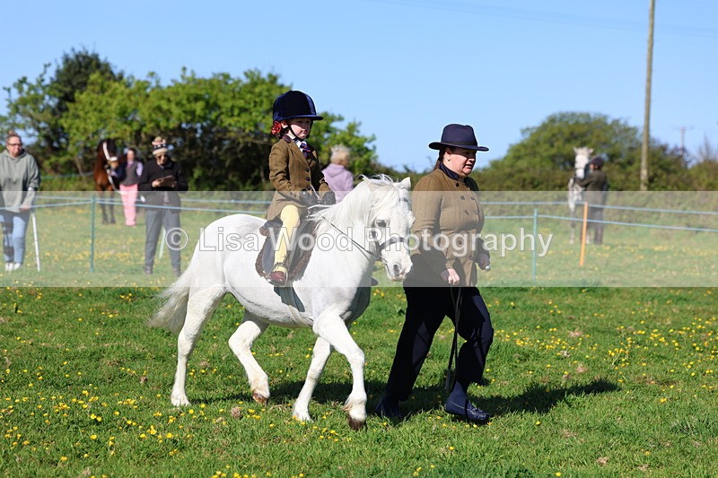 3E7A8709 - Class 2: Lead rein