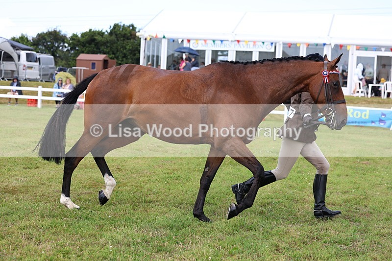 3E7A1078 - Class 8: Open Riding Horse/Hack