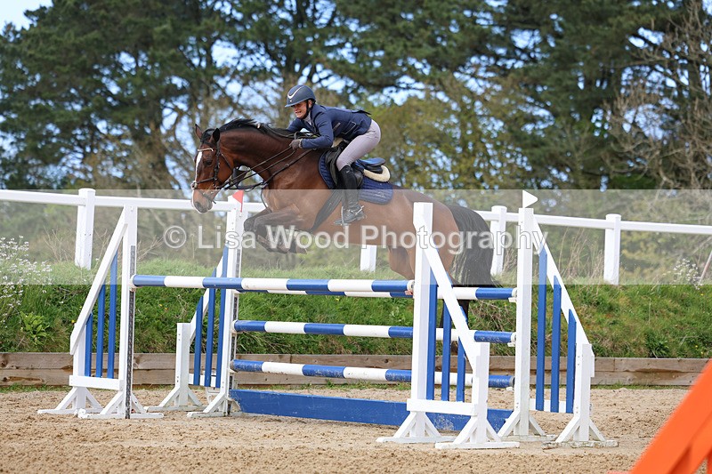3E7A2139 - Class 8: Senior Foxhunter/1.20 open