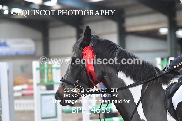 BPP_4659 - CLASS 6 80CM