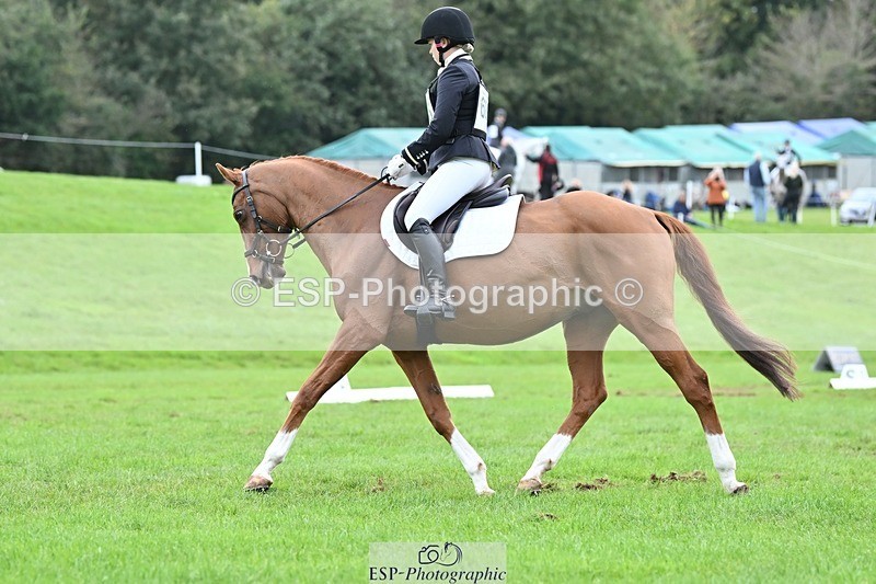 231020-152835-11490 - 686-MOORLAND.MAGIC-Charlotte.Chard-DR