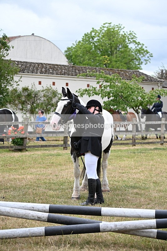 WJ6_4513 - Class 10 Coloured In-hand