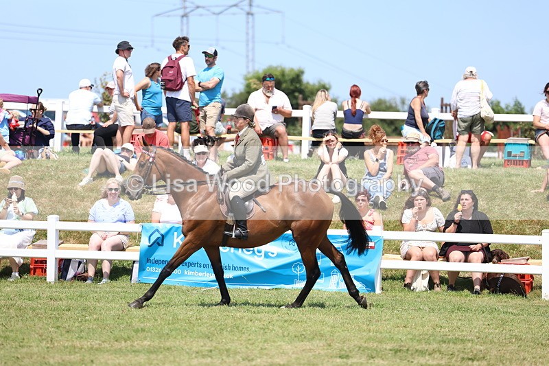 3E7A9342 - Class 12: Open Racehorse to Show Horse