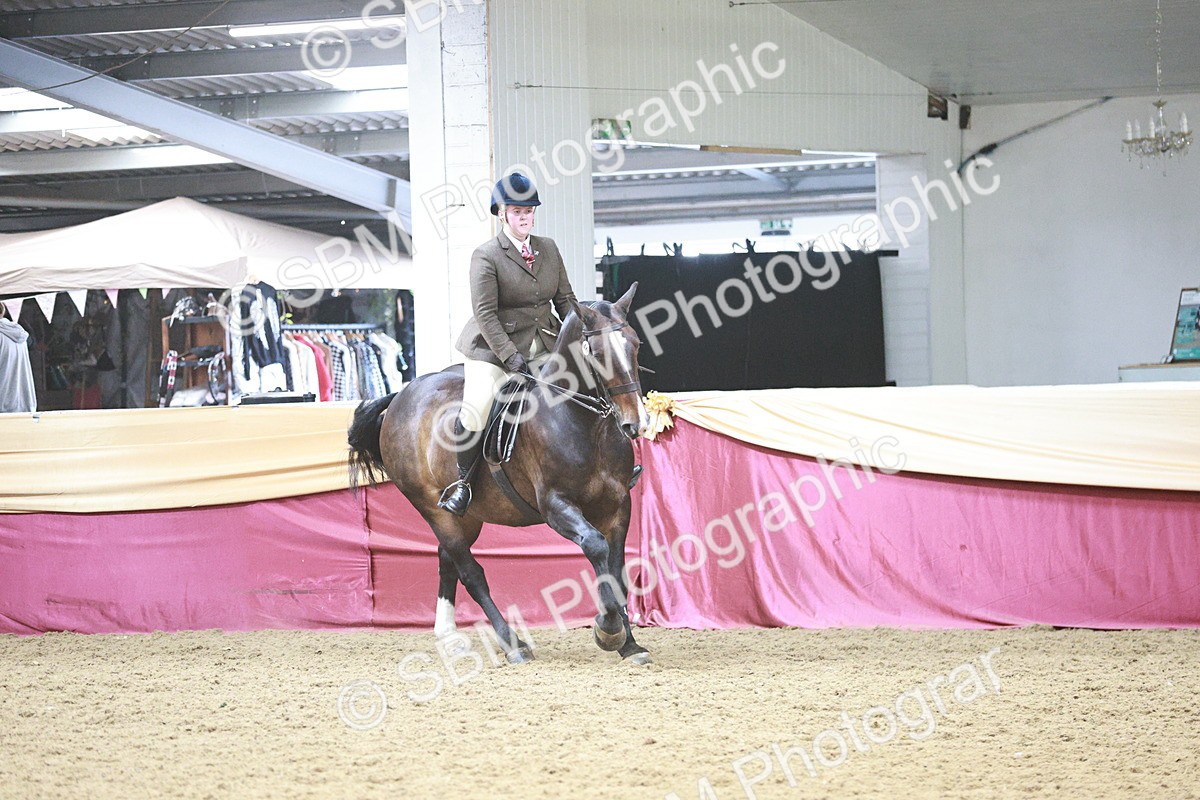SBM_08853 - Class 12R - Regional Ridden Pre-Vet