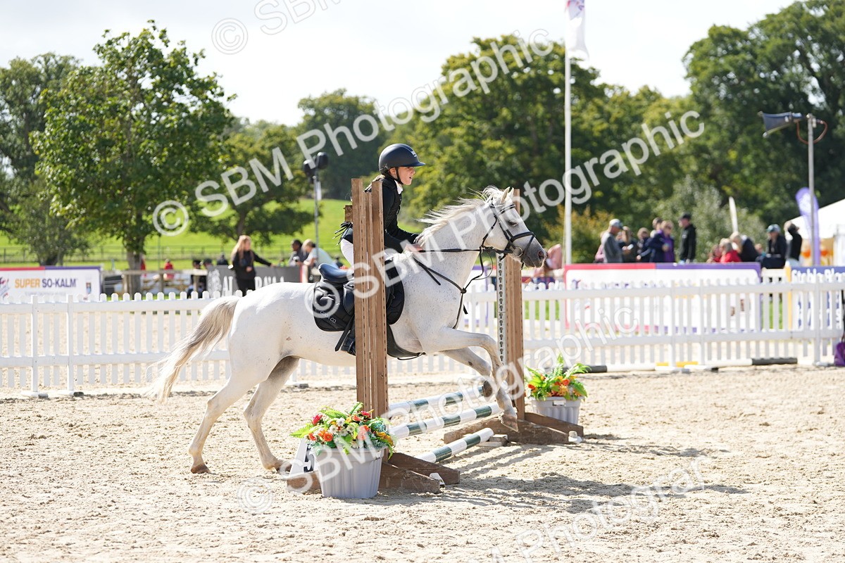 SBM_18227 - J58 - Clear Round 50cm