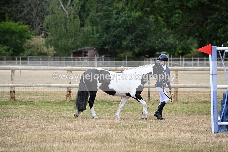 WJ6_4181 - Class 10 Coloured In-hand