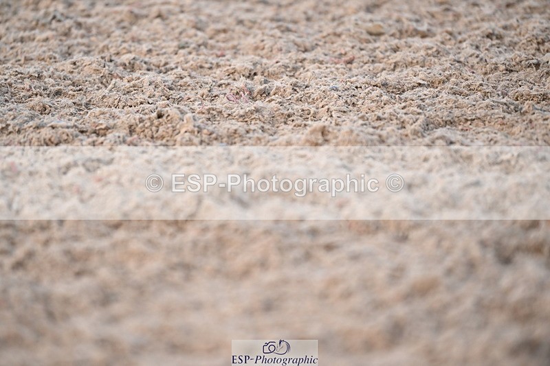 240324A-153058-04875 - Prelim 7, 15.00 to End