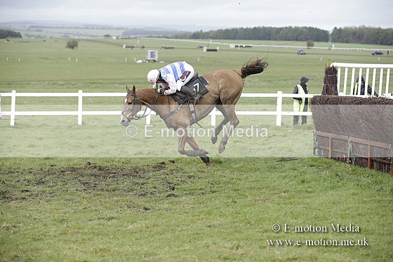 PtP 150320 0438 - New Forest Point-to-Point Larkhill 15/03/20