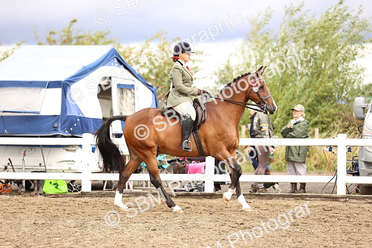 SBM_00567 - Class 53 - Ridden Competition Horse Pony