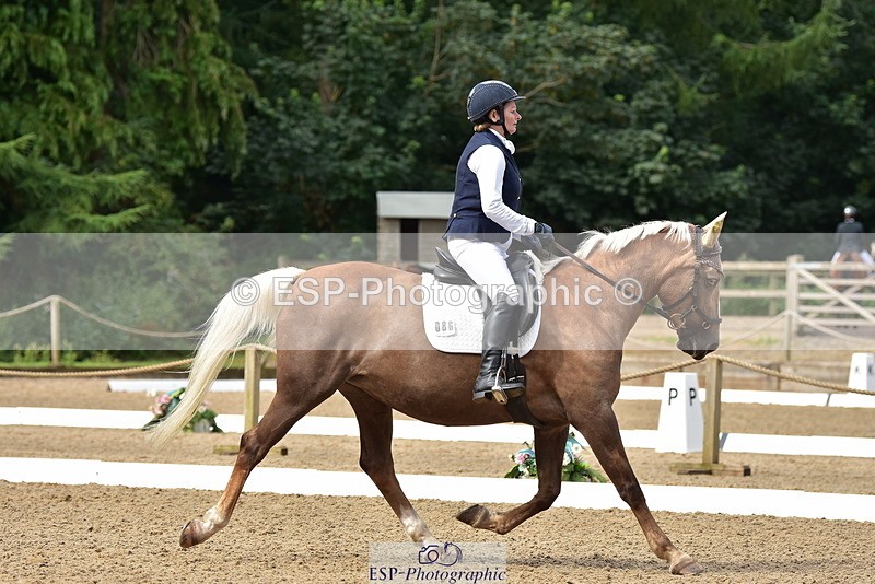 250719A-102222-03648 - 086-Alison.Nicoll-Moondust