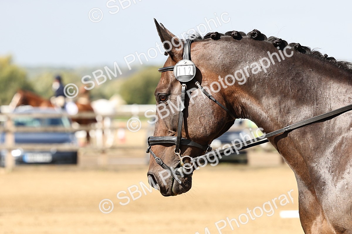 SBM_000881 - Class 46 - Novice 1 Combined Training