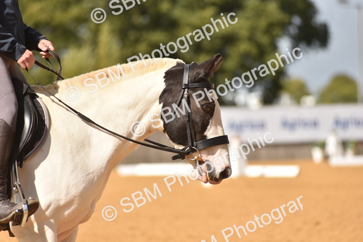 SBM_07745 - D15 - Small Tour Championship Novice 1