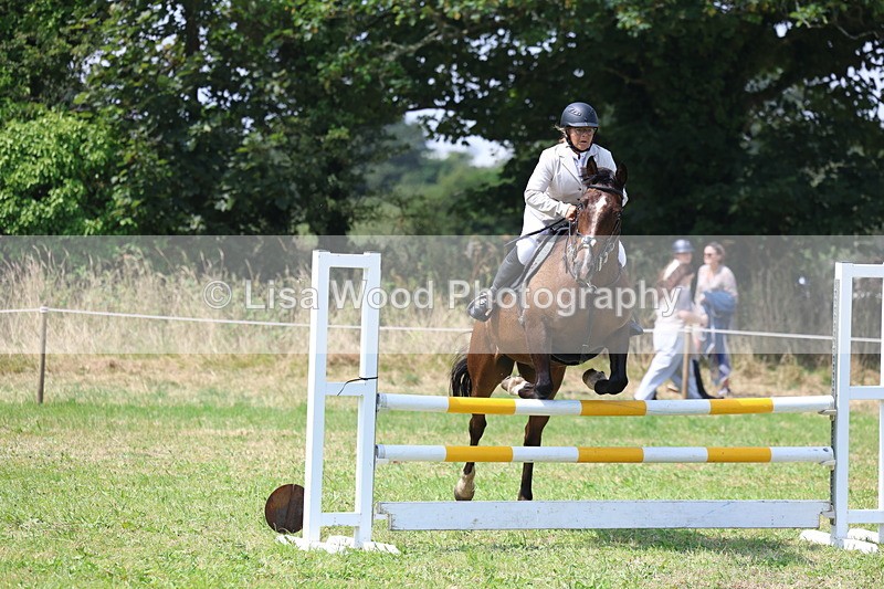 3E7A2844 - Class 7: Senior British Novice/90cm open