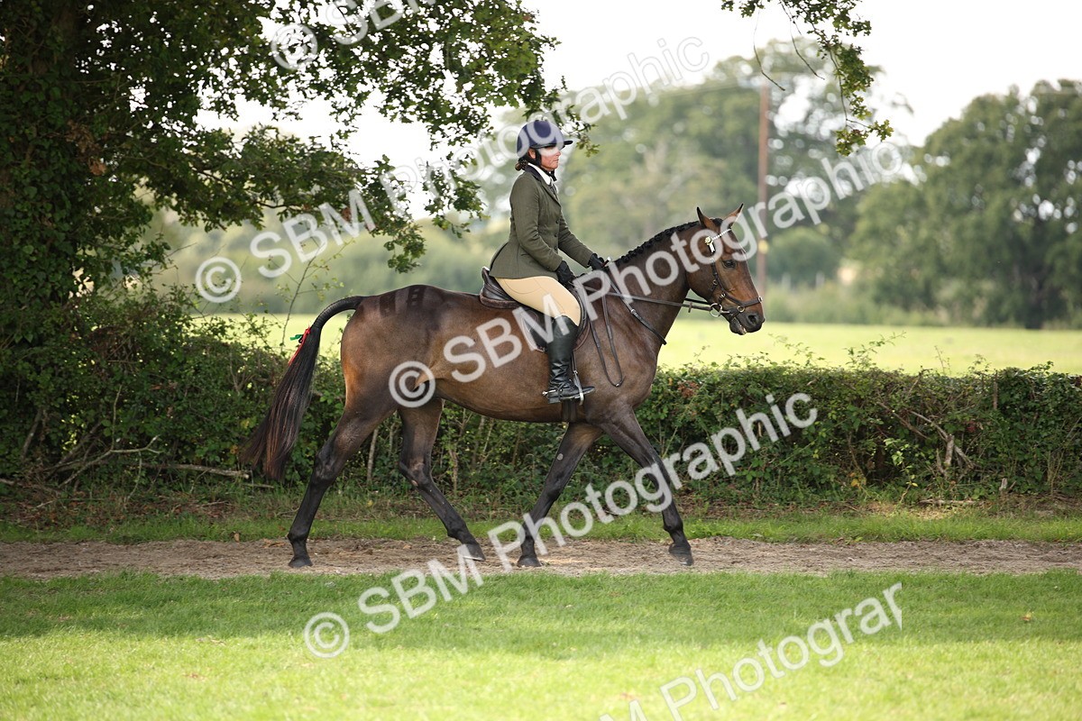 SBM_65900 - S64 - Riding Horse & Hack & Thoroughbred Ridden