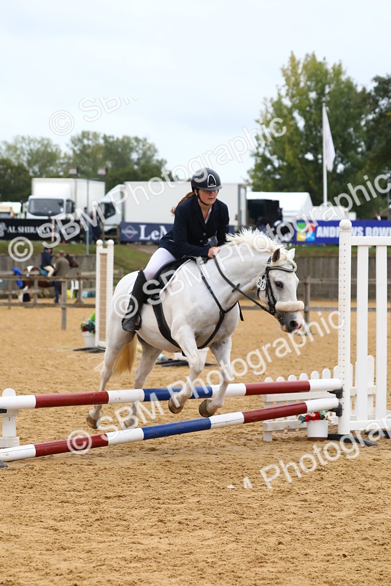 SBM_60098 - J63 - Junior Pony 50cm Championship