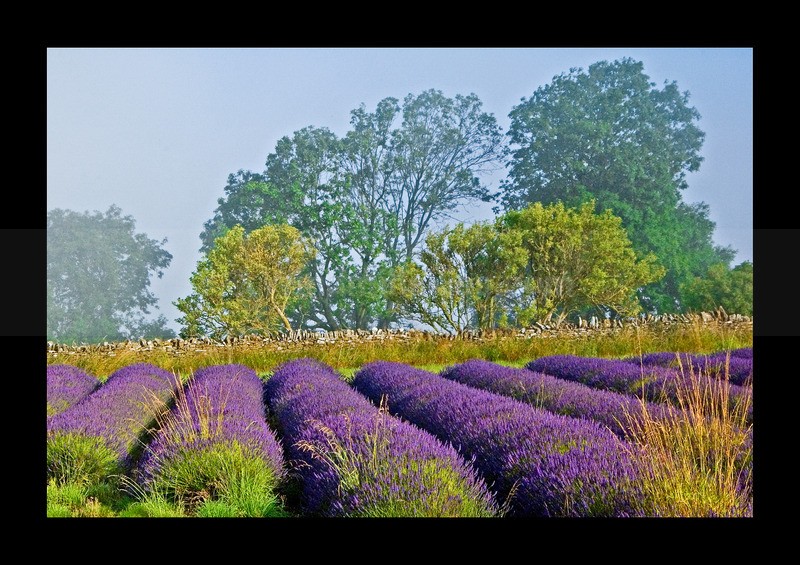  - Land