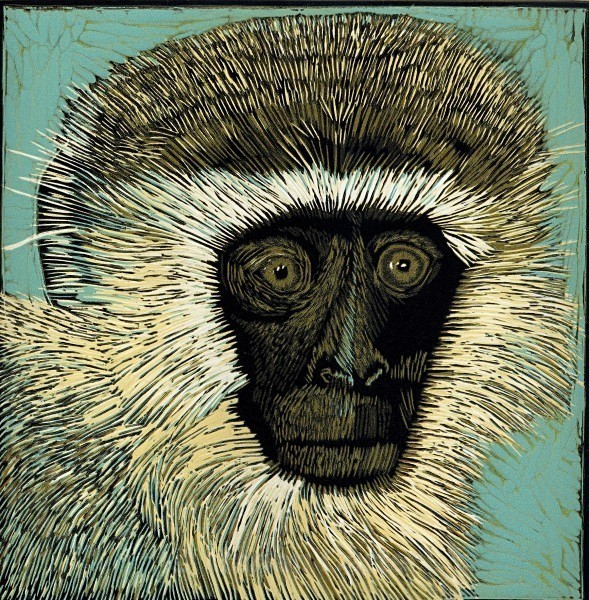 Sad Vervet Monkey, Samburu, Kenya - Reduction Linocuts