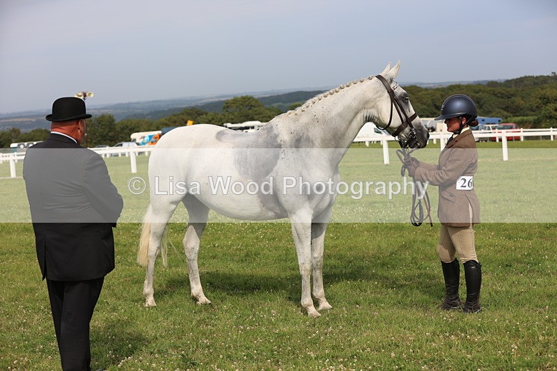 JPP_4304 - Class 25: Working Show Horse