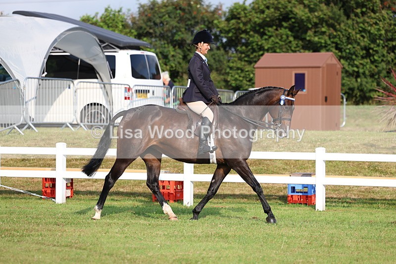 3E7A7655 - Class 1: Rising Star Small Hack/Riding Horses