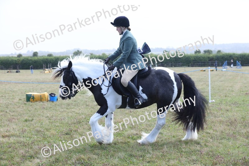 20250831-2443 - Class 16 - Family Pony