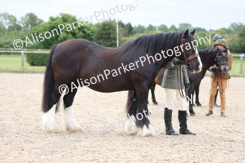 20250524-0776 - Class 7 - Veteran