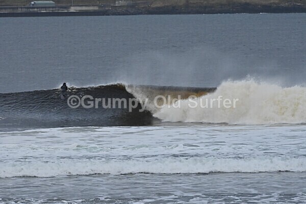 DSC_8795 - Thurso 6th November 2022