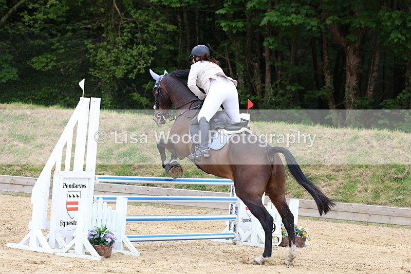 3E7A6140 - Class 4: Senior British Novice/90cm open